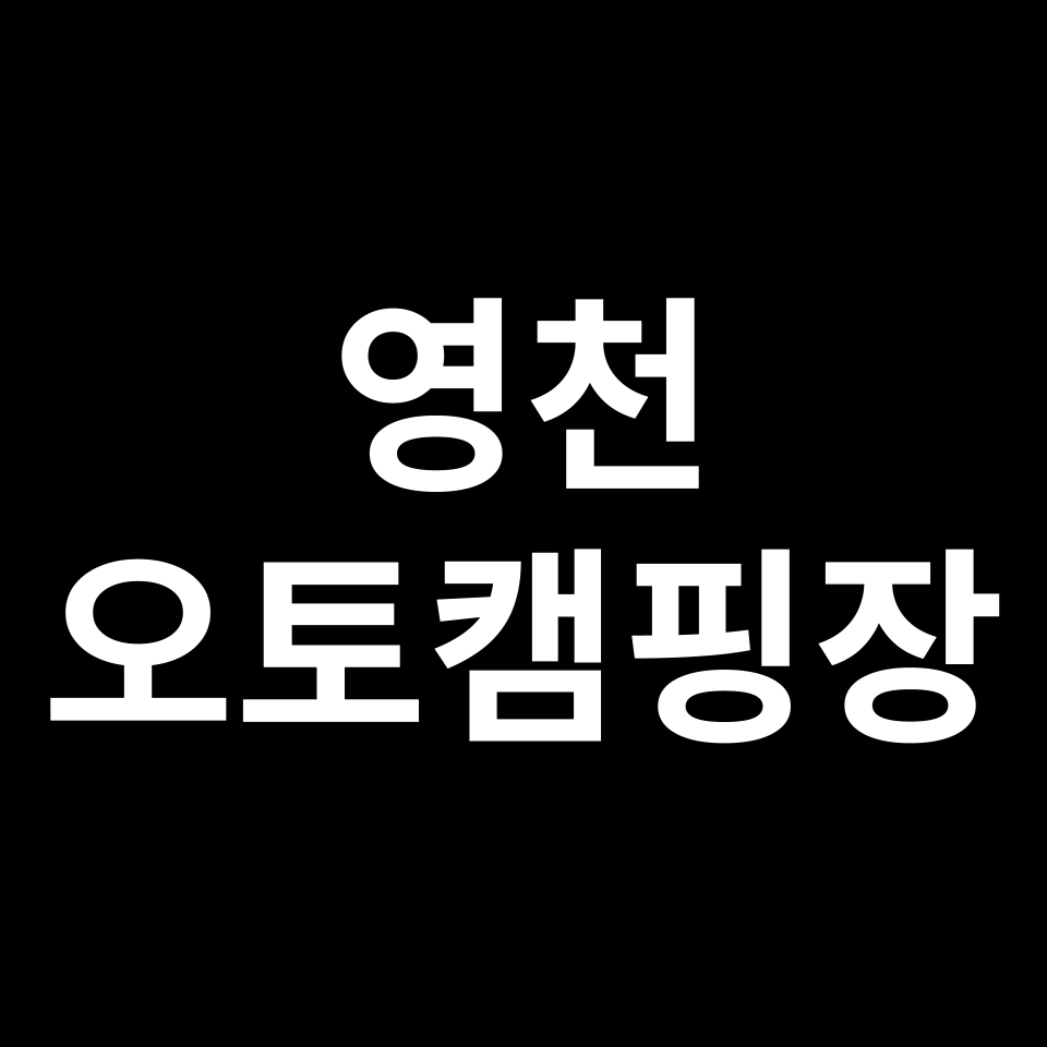 영천 오토캠핑장 TOP 5 | 보현민박, 드림랜드, 영천댐, 하늘숲 등