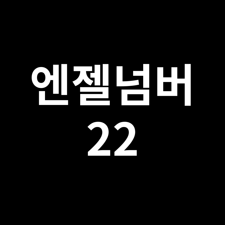 엔젤넘버 22