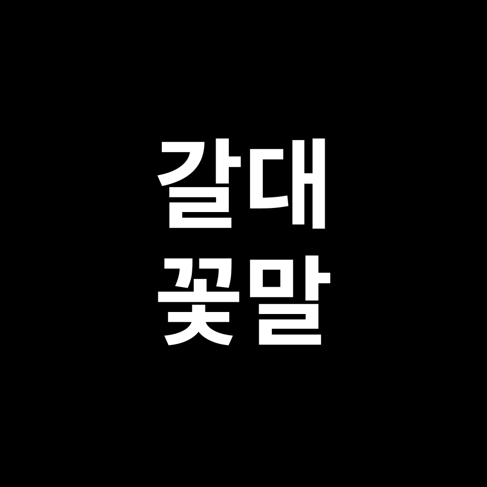 갈대 꽃말 썸네일