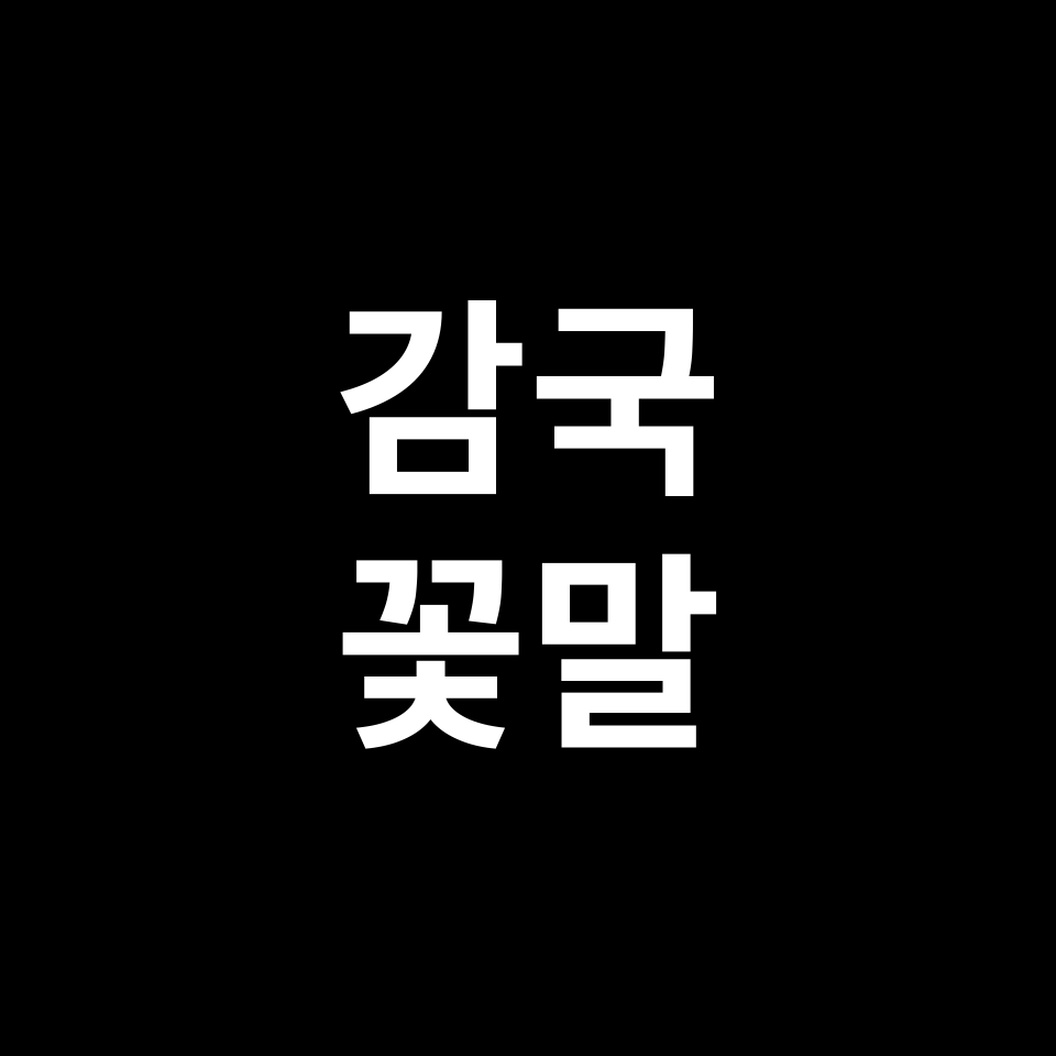 감국 꽃말 썸네일