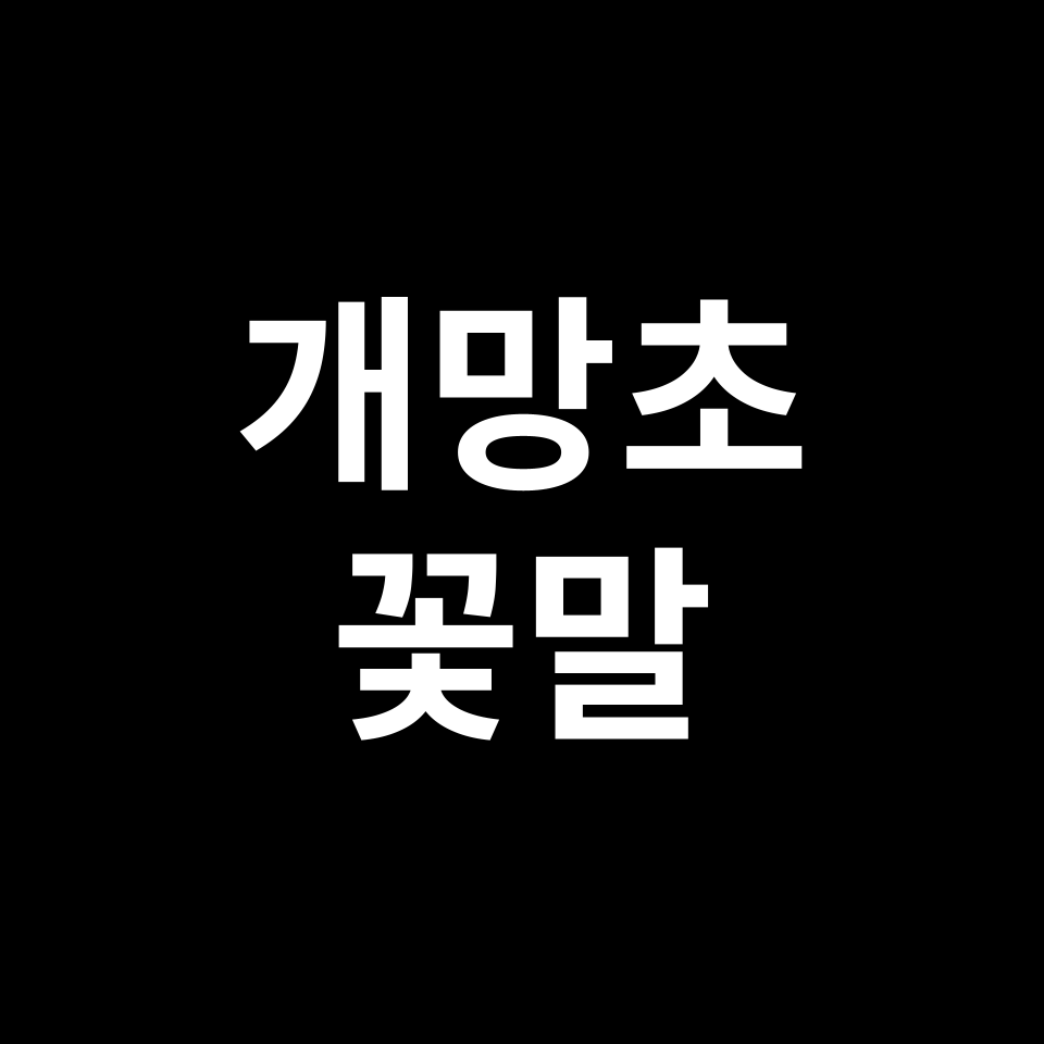 개망초 꽃말 썸네일