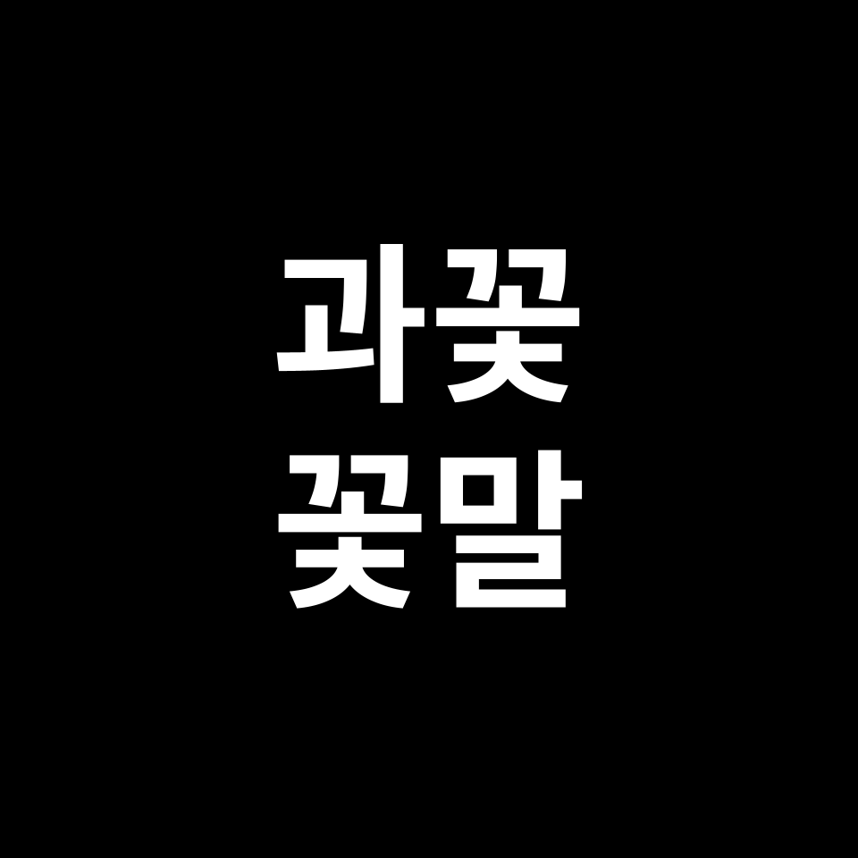 과꽃 꽃말 썸네일