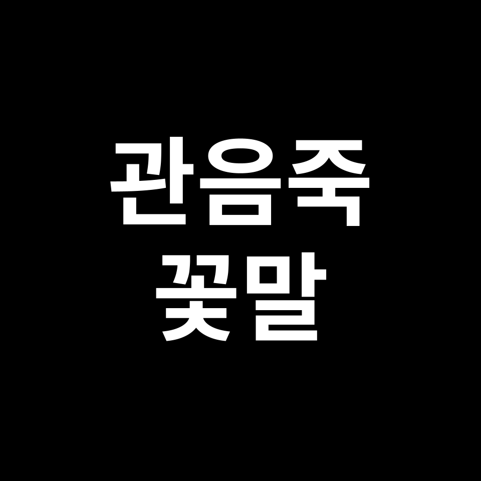 관음죽 꽃말 썸네일
