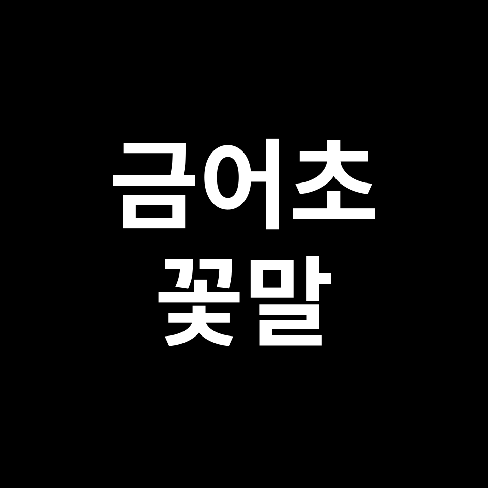 금어초 꽃말 썸네일