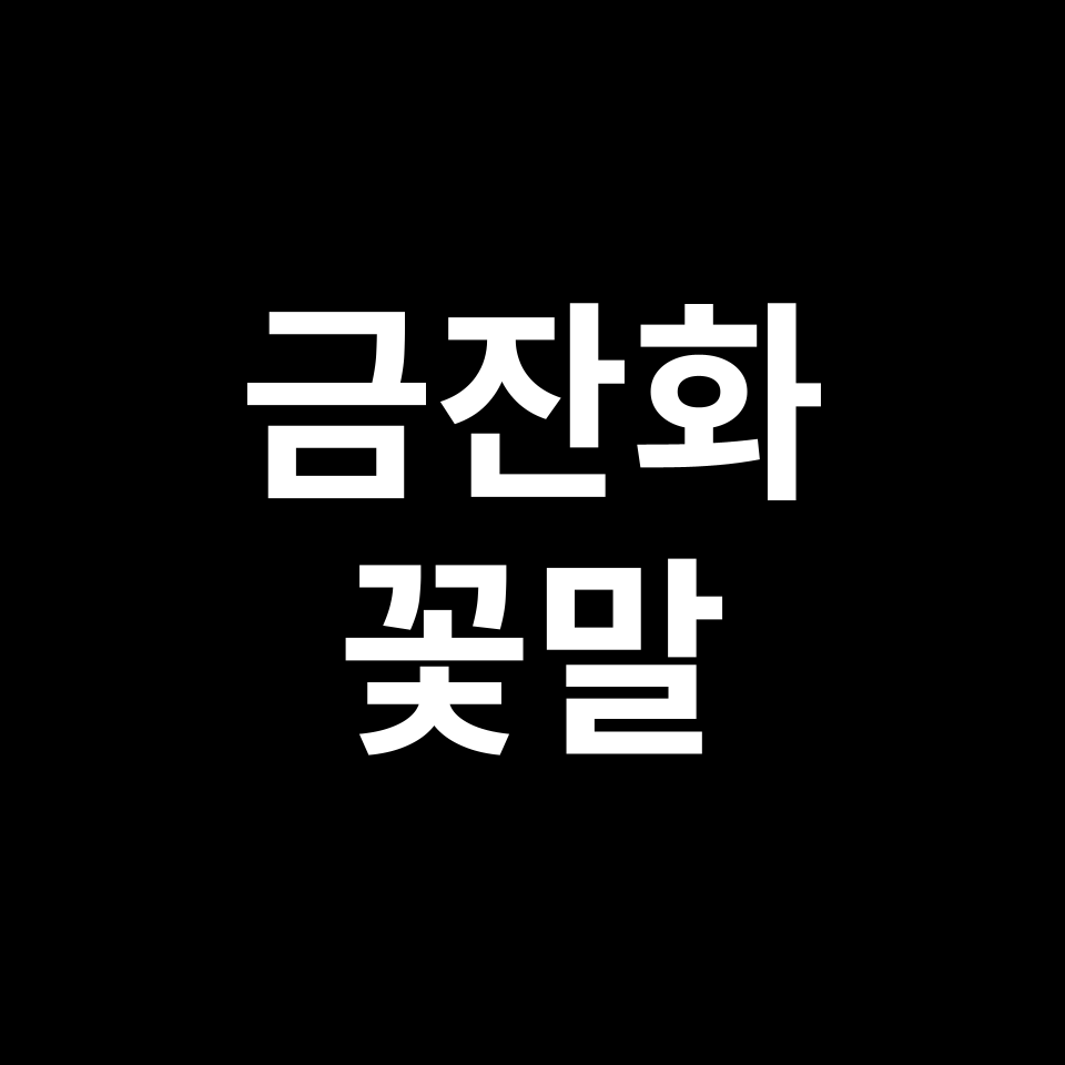 금잔화 꽃말 썸네일