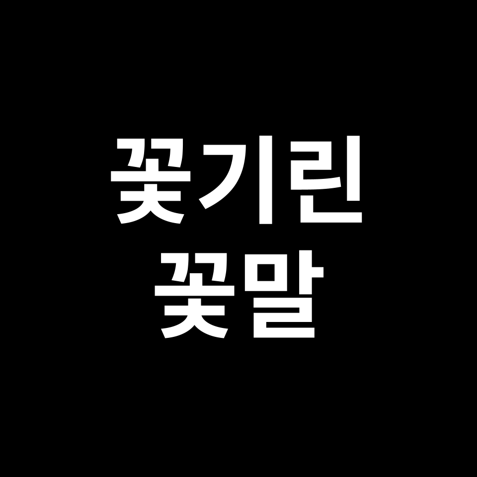 꽃기린 꽃말 썸네일