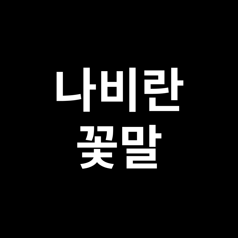 나비란 꽃말 썸네일