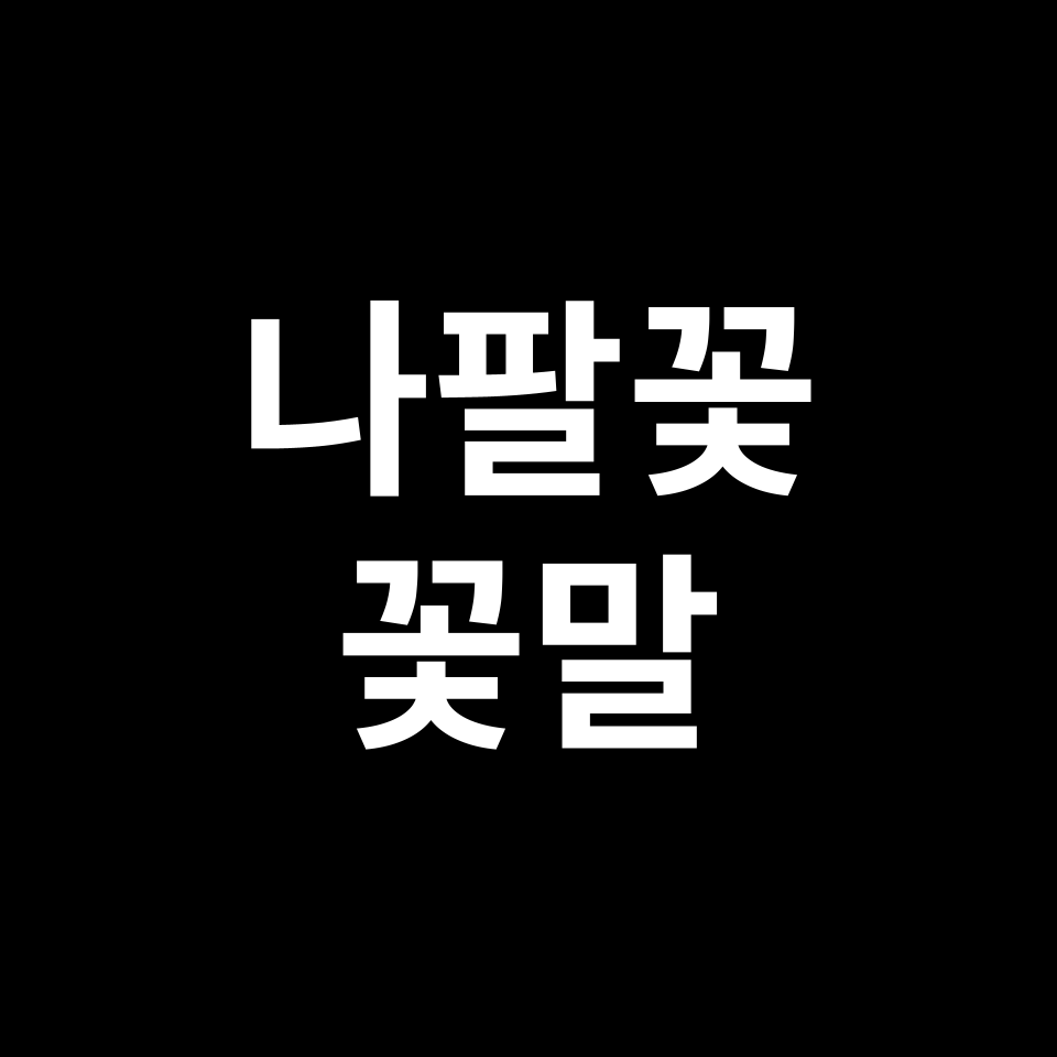 나팔꽃 꽃말 썸네일