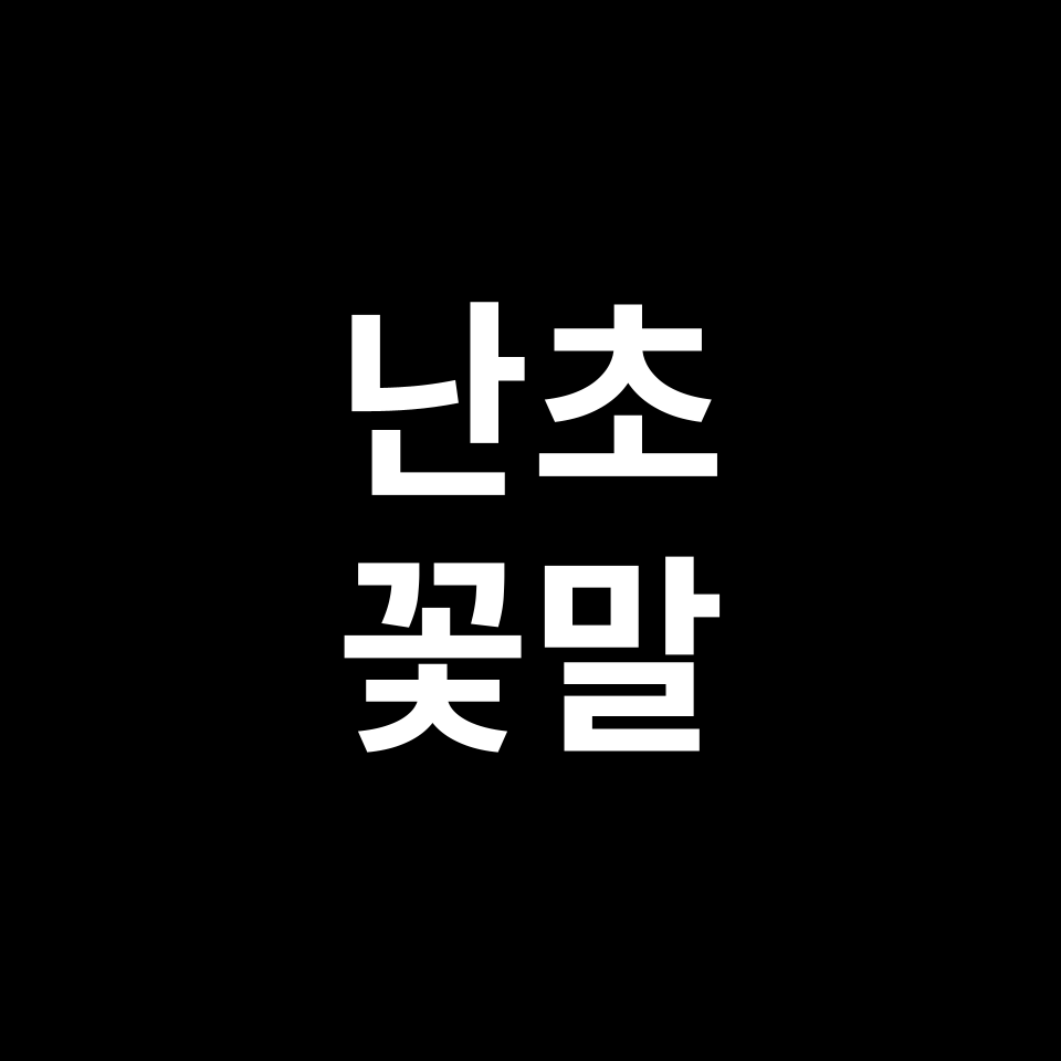 난초 꽃말 썸네일