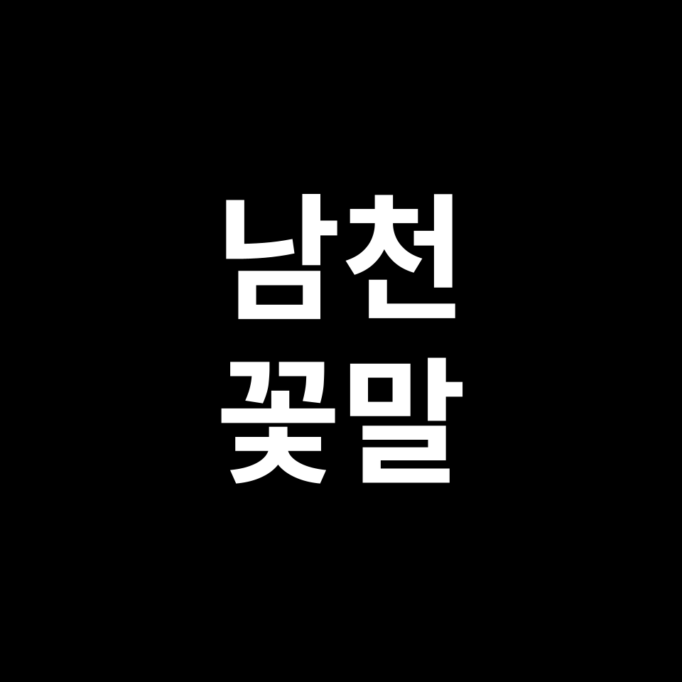 남천 꽃말 썸네일