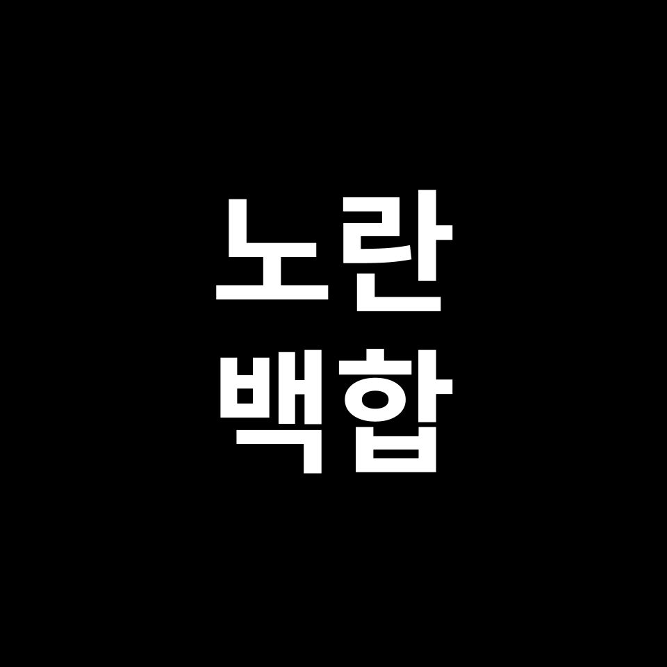 노란 백합 꽃말 썸네일