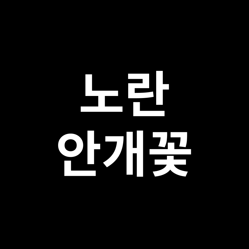 노란 안개꽃 꽃말 썸네일