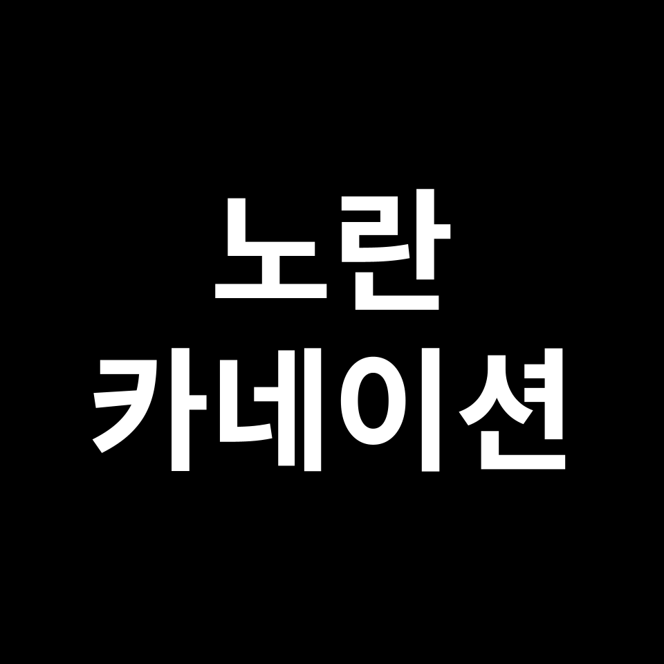 노란 카네이션 꽃말 썸네일