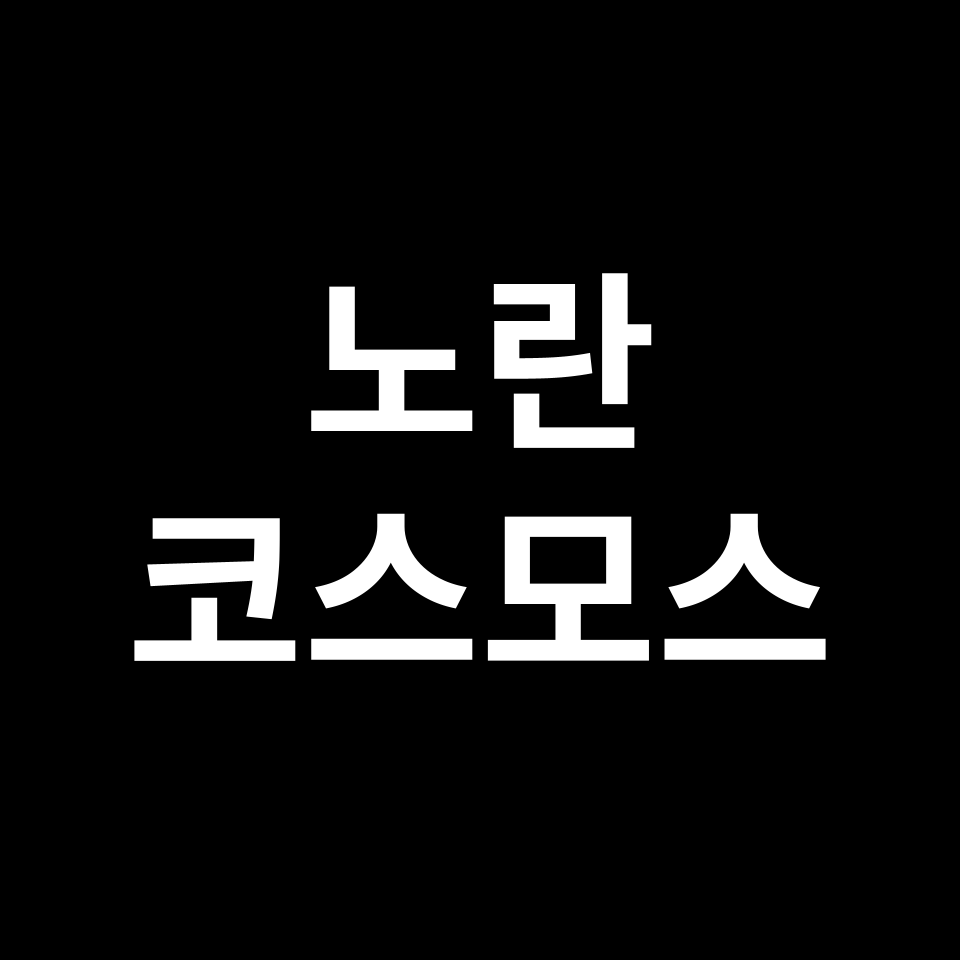 노란 코스모스 꽃말 썸네일