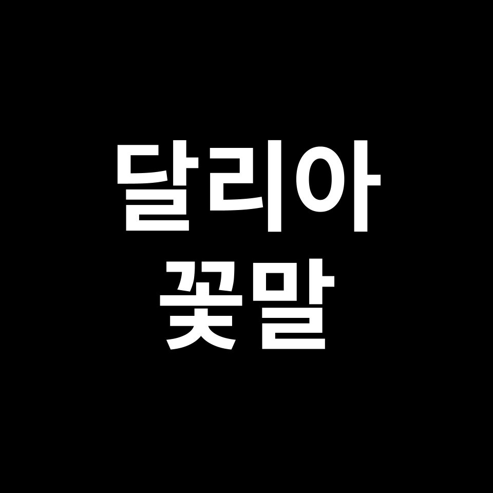 달리아 꽃말 썸네일