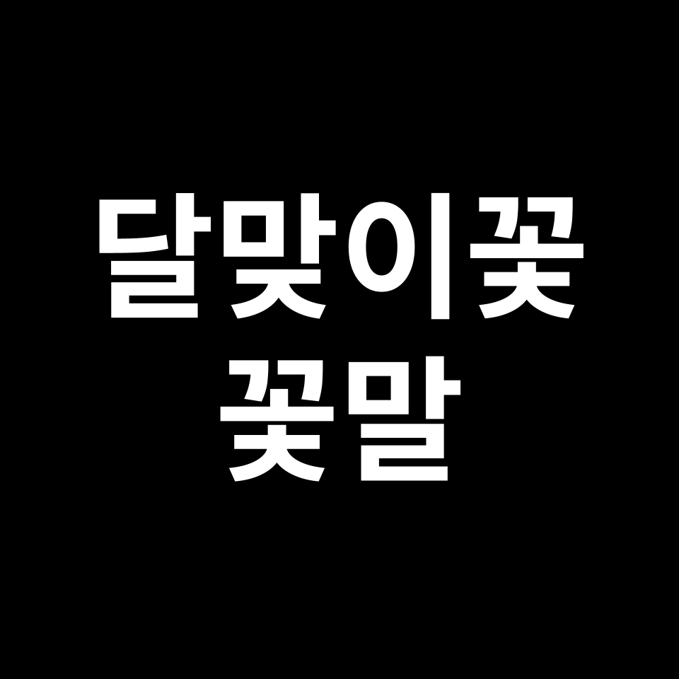 달맞이꽃 꽃말 썸네일