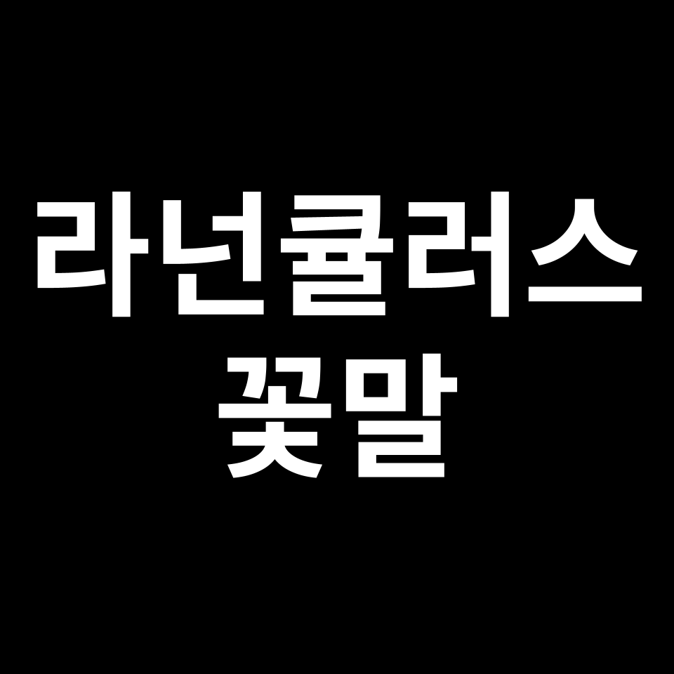 라넌큘러스 꽃말 썸네일