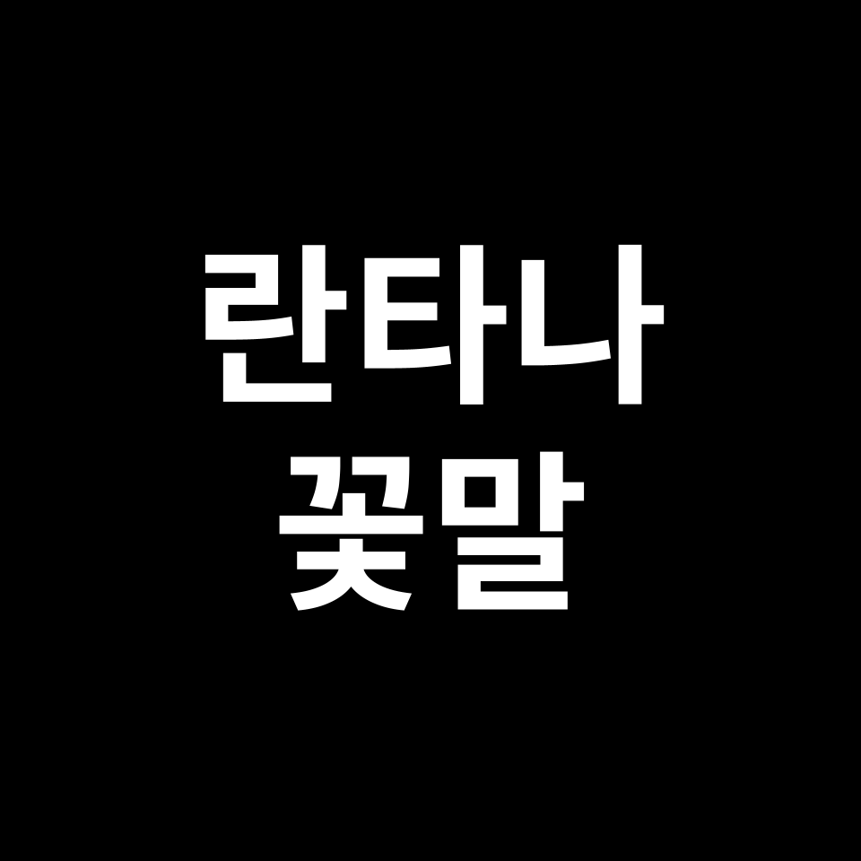 란타나 꽃말 썸네일
