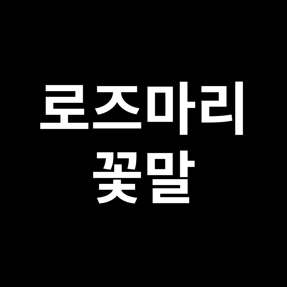 로즈마리 꽃말 썸네일