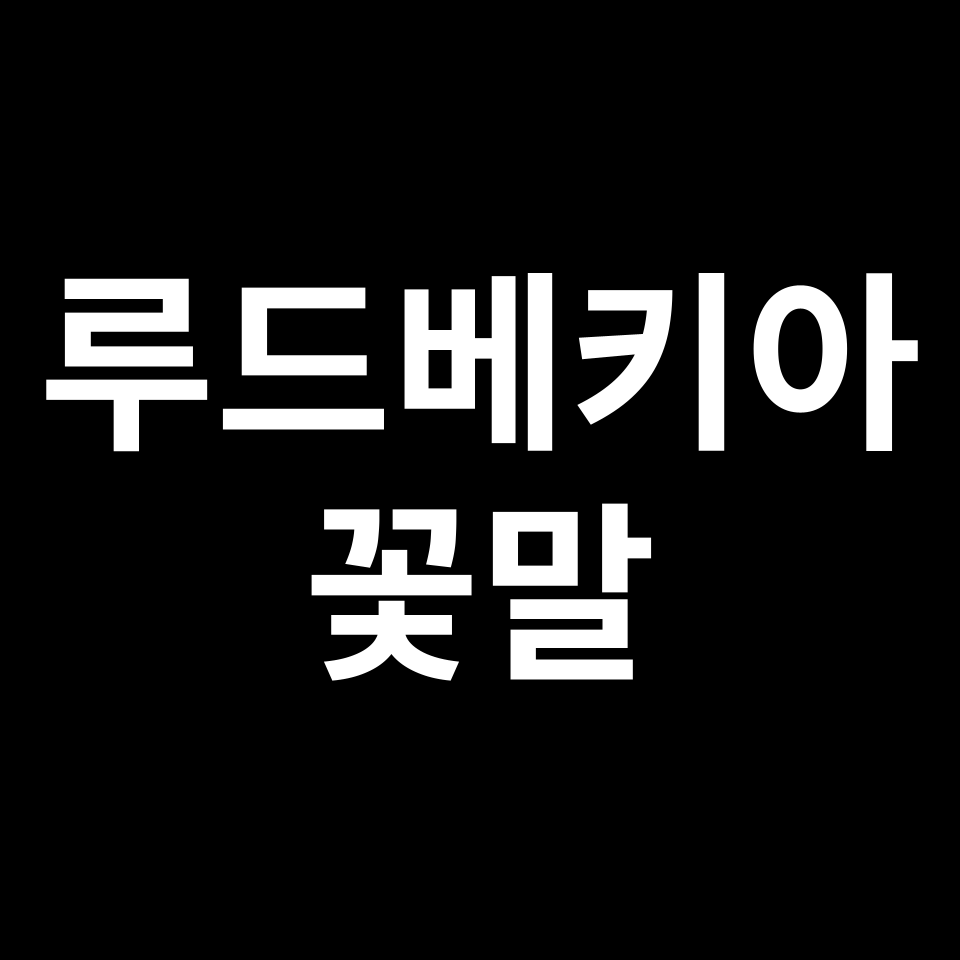 루드베키아 꽃말 썸네일