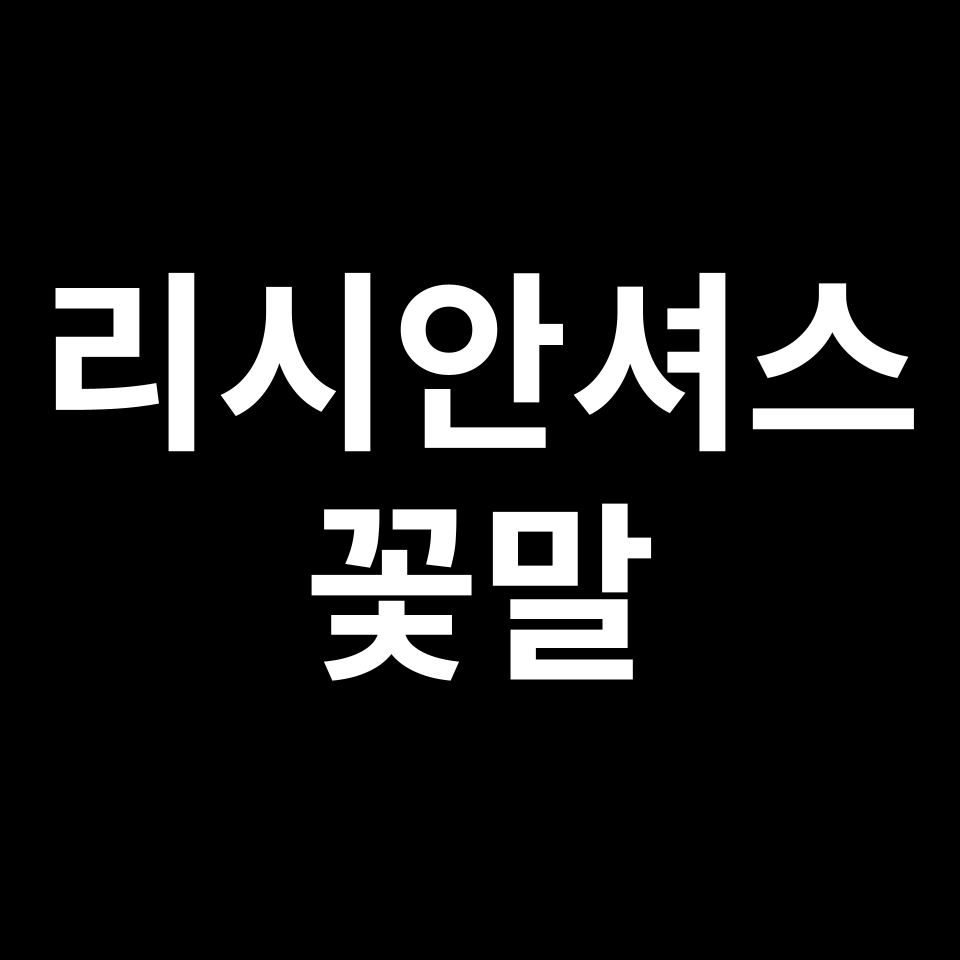 리시안셔스 꽃말 썸네일