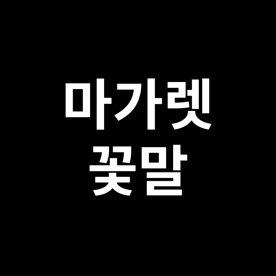 마가렛 꽃말 썸네일