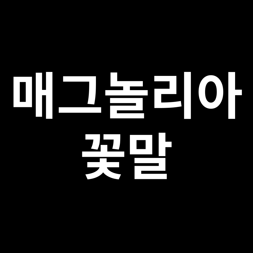 매그놀리아 꽃말 썸네일