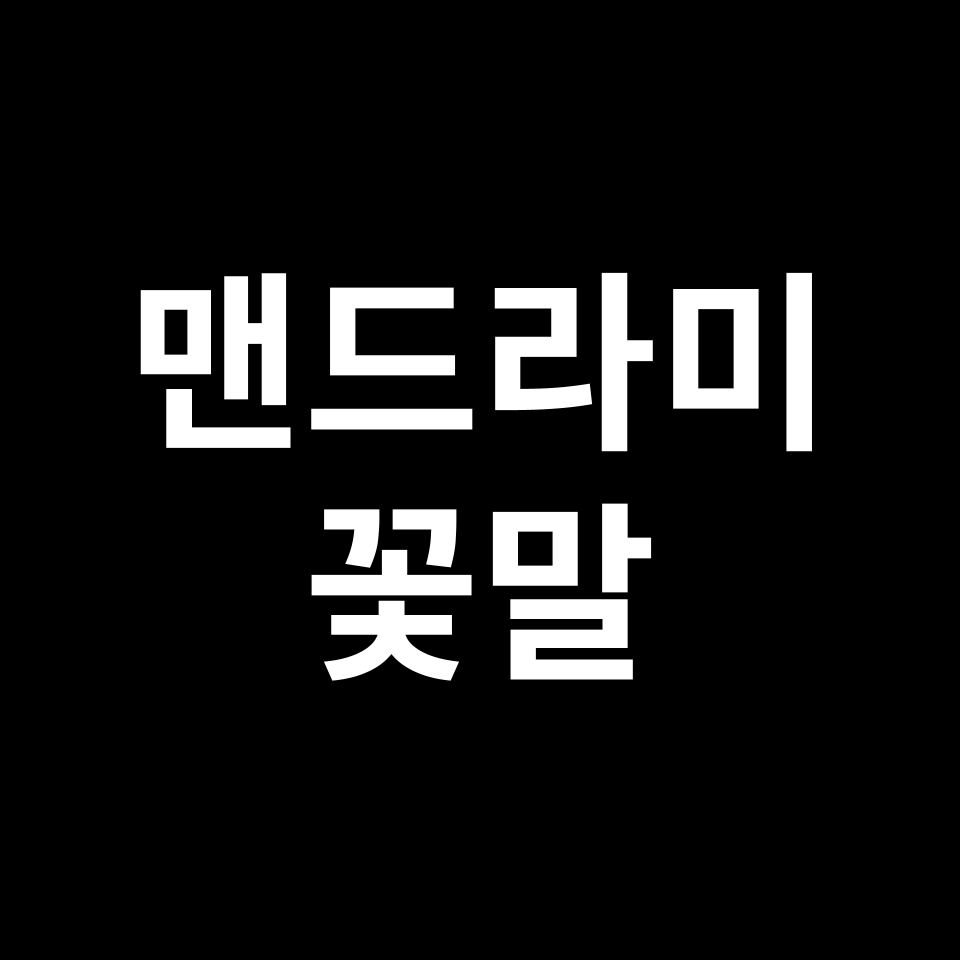 맨드라미 꽃말 썸네일