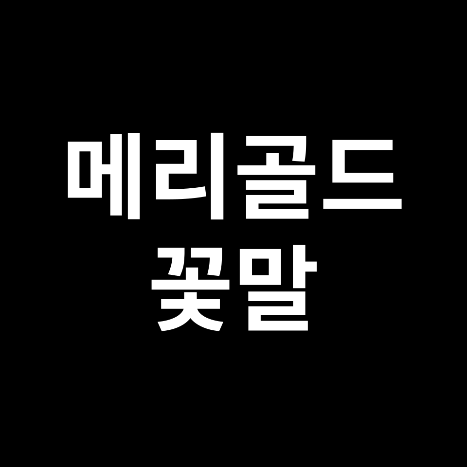 메리골드 꽃말 썸네일