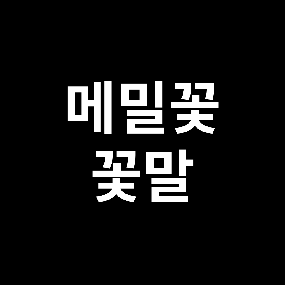 메밀꽃 꽃말 썸네일