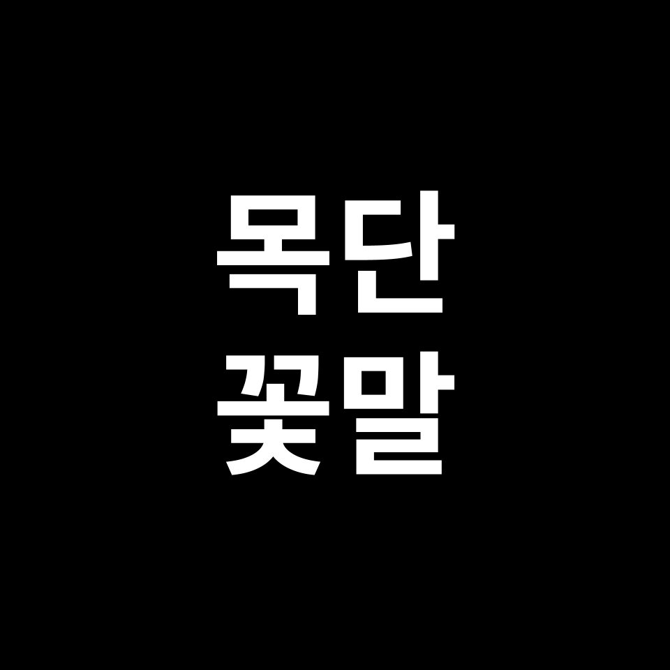 목단 꽃말 썸네일