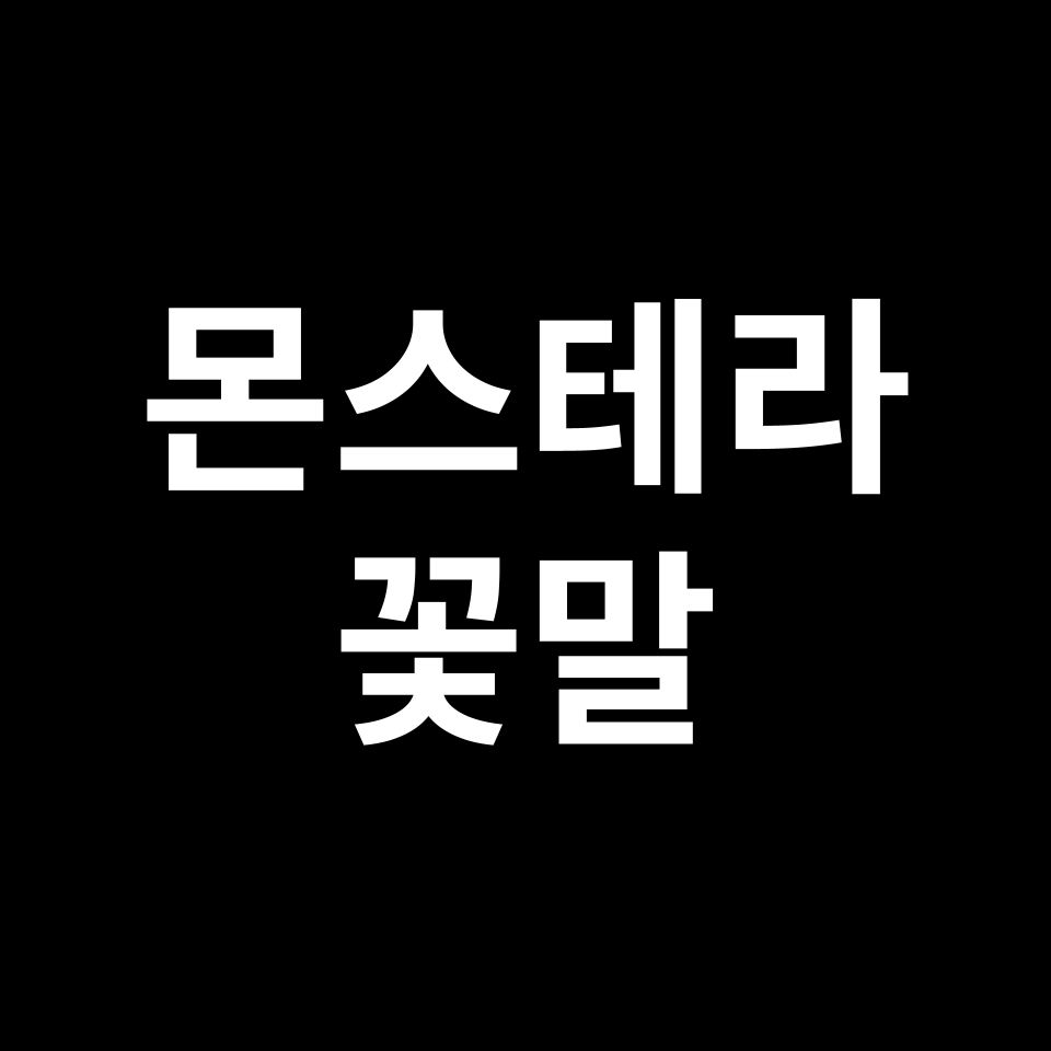 몬스테라 꽃말 썸네일