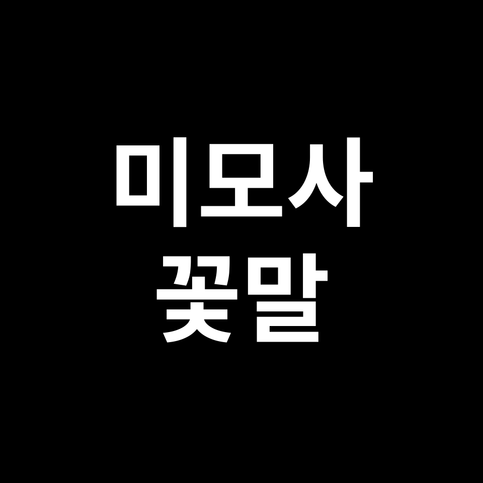 미모사 꽃말 썸네일