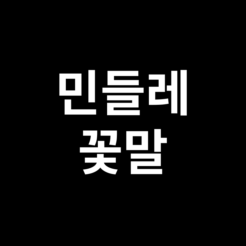 민들레 꽃말 썸네일