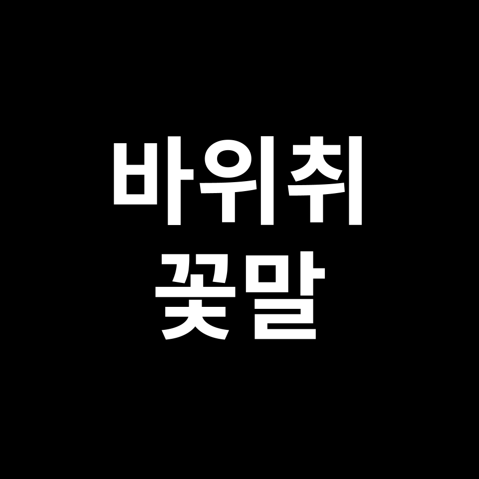 바위취 꽃말 썸네일