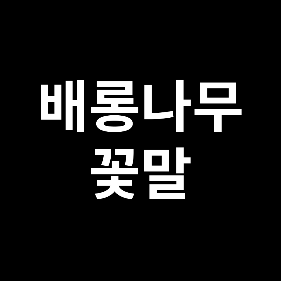 배롱나무 꽃말 썸네일