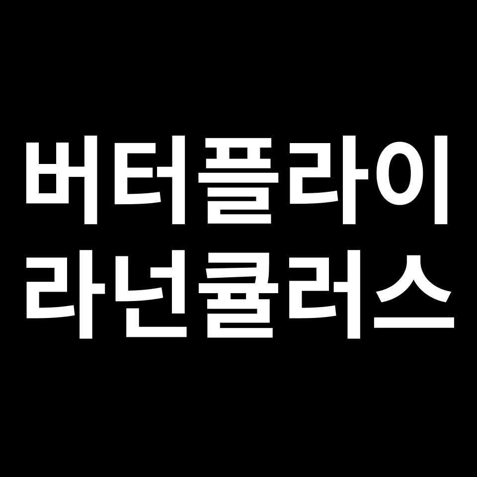 버터플라이 라넌큘러스 꽃말 썸네일