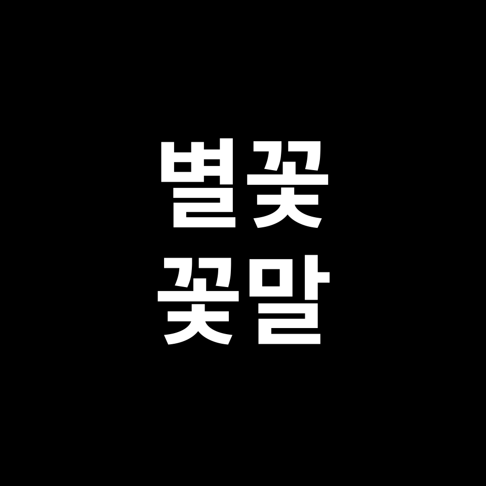 별꽃 꽃말 썸네일