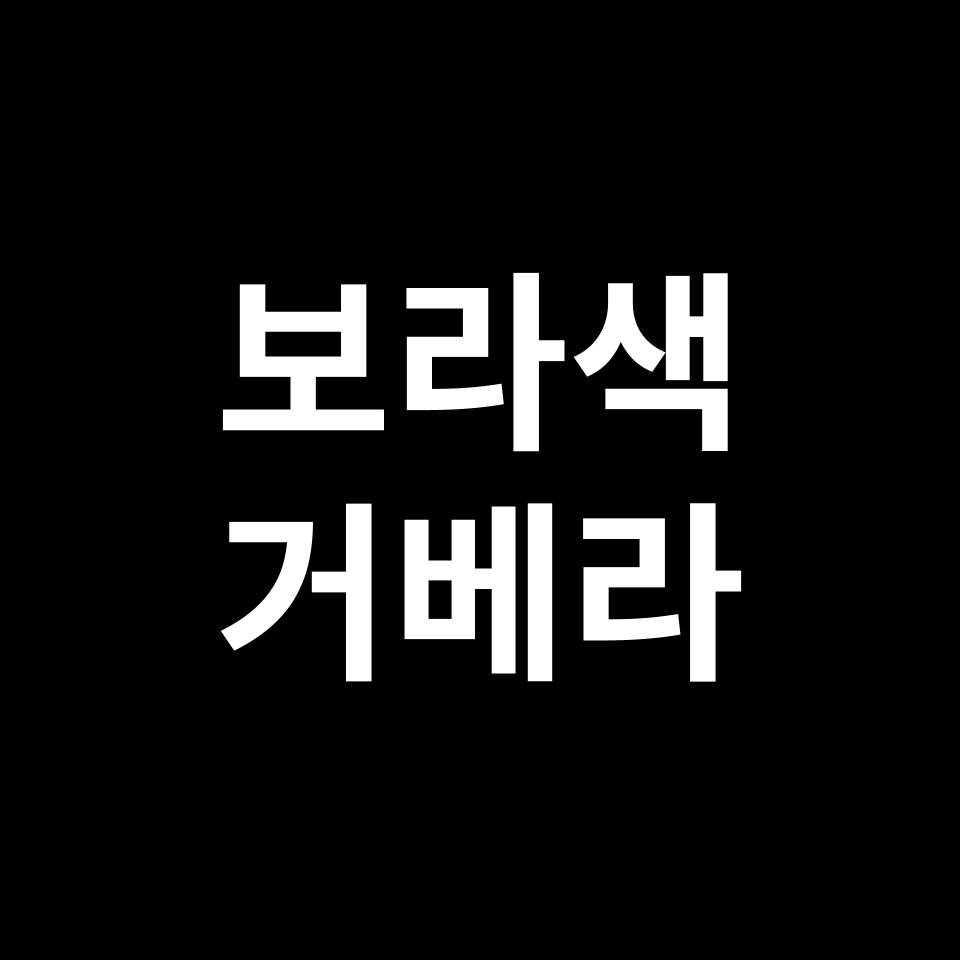 보라색 거베라 꽃말 썸네일