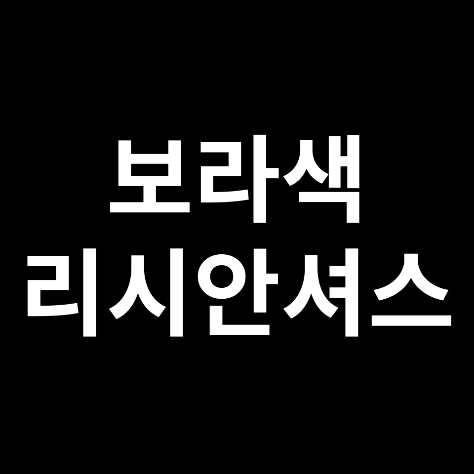 보라색 리시안셔스 꽃말 썸네일