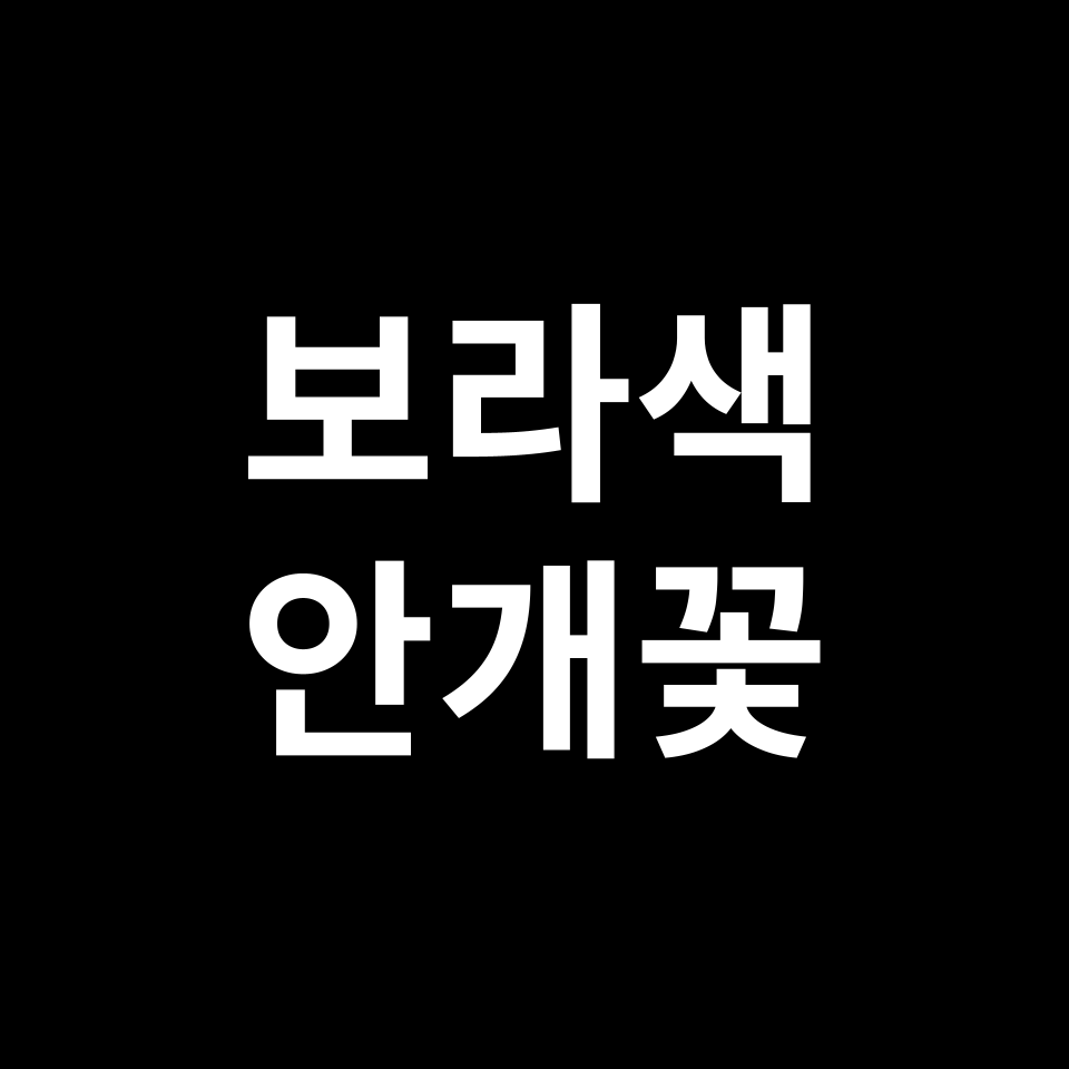 보라색 안개꽃 꽃말 썸네일