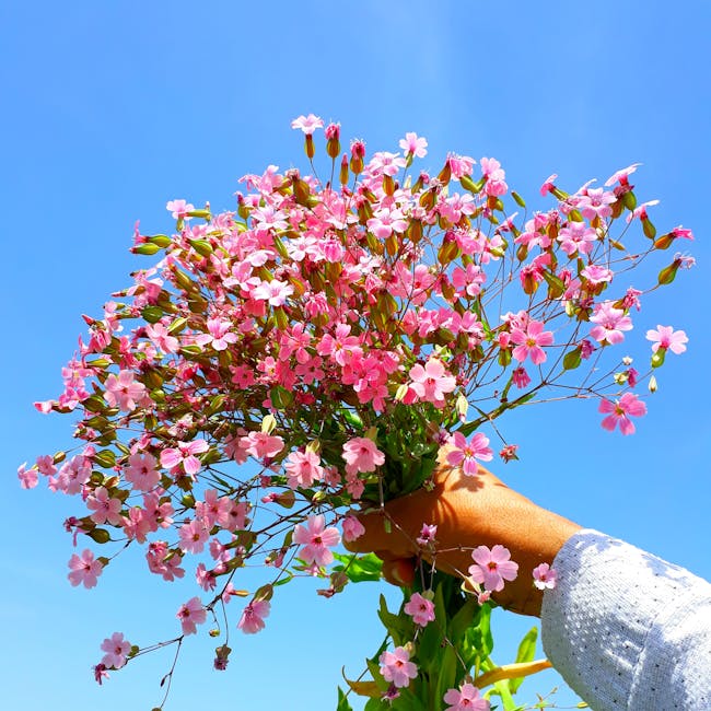 보라색 안개꽃 꽃말