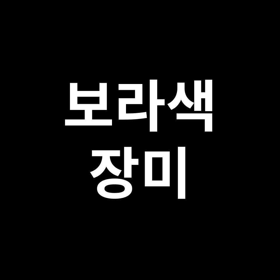 보라색 장미 꽃말 썸네일