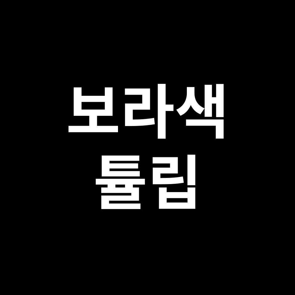 보라색 튤립 꽃말 썸네일