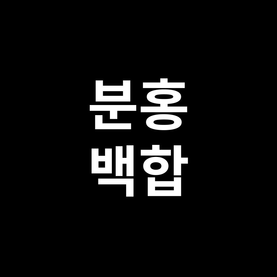 분홍 백합 꽃말 썸네일