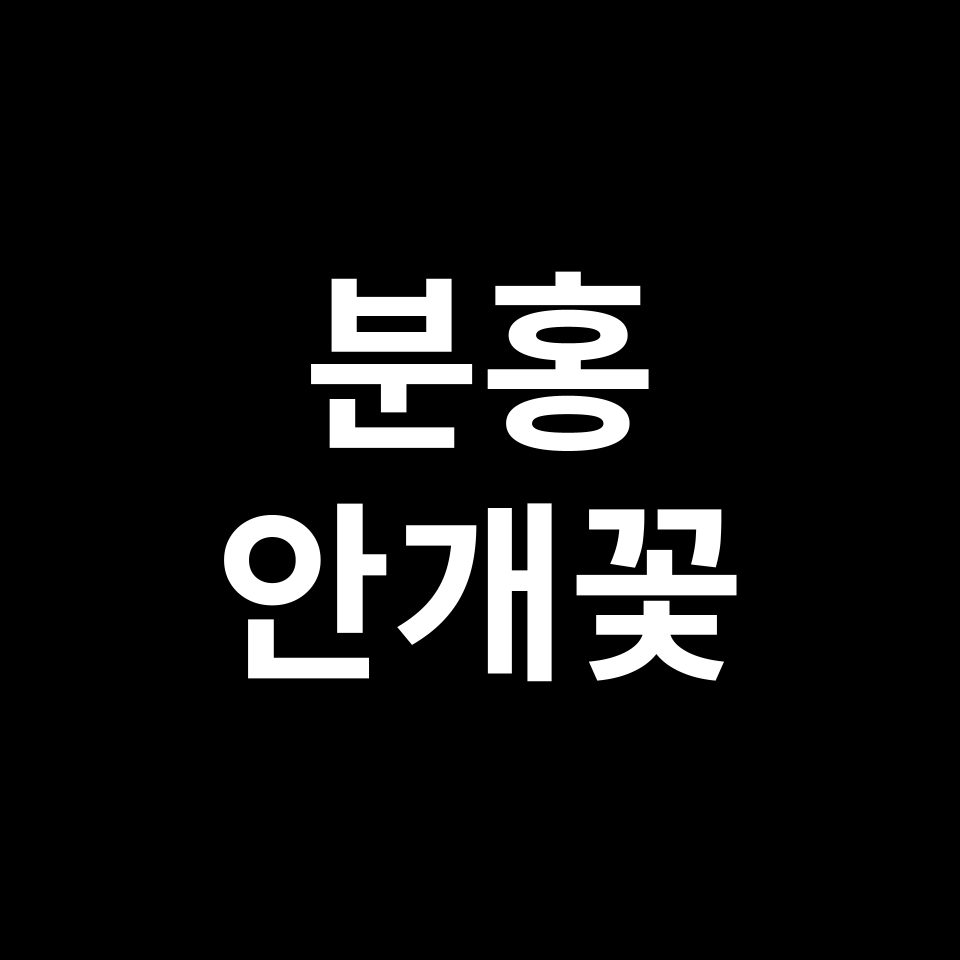분홍 안개꽃 꽃말 썸네일