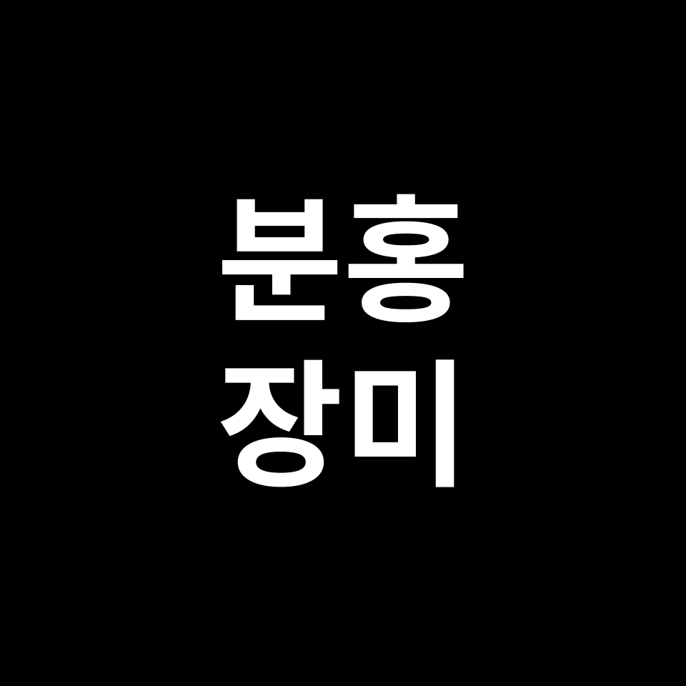 분홍 장미 꽃말 썸네일