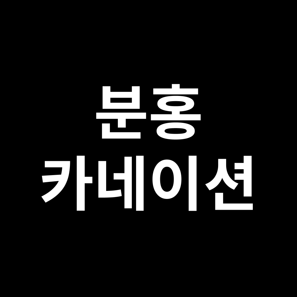 분홍 카네이션 꽃말 썸네일