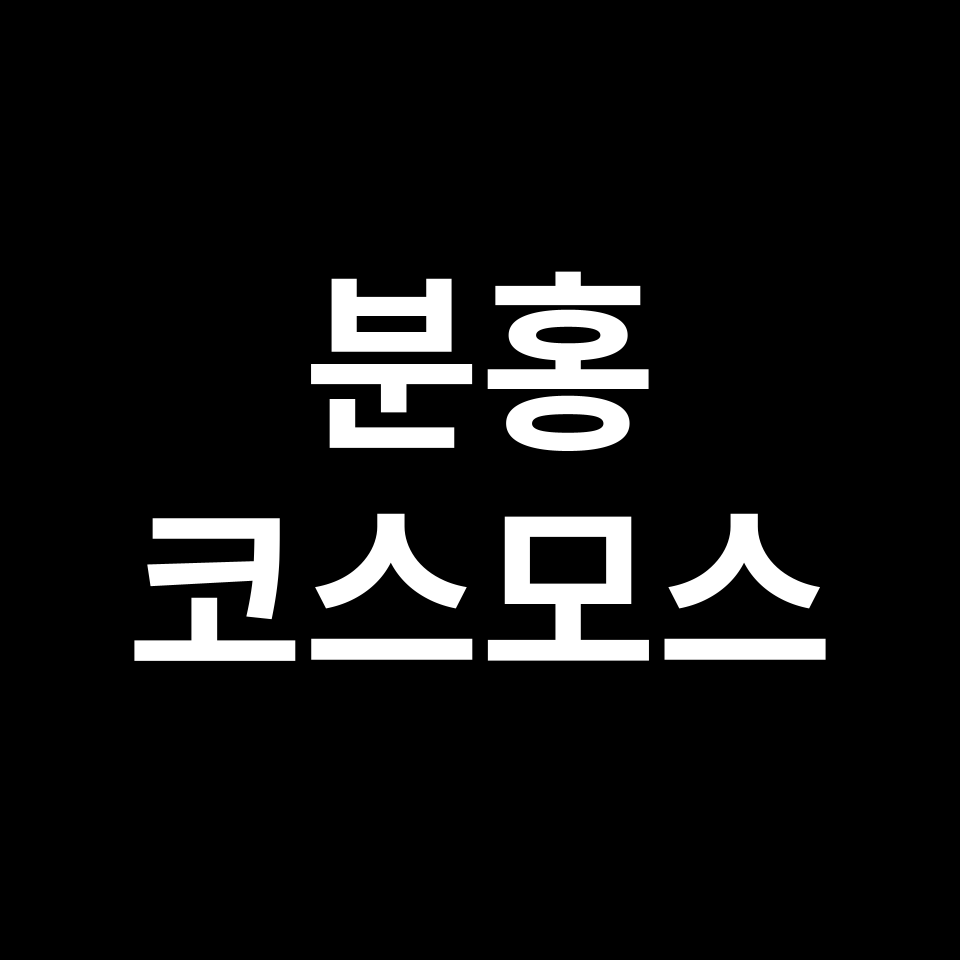 분홍 코스모스 꽃말 썸네일