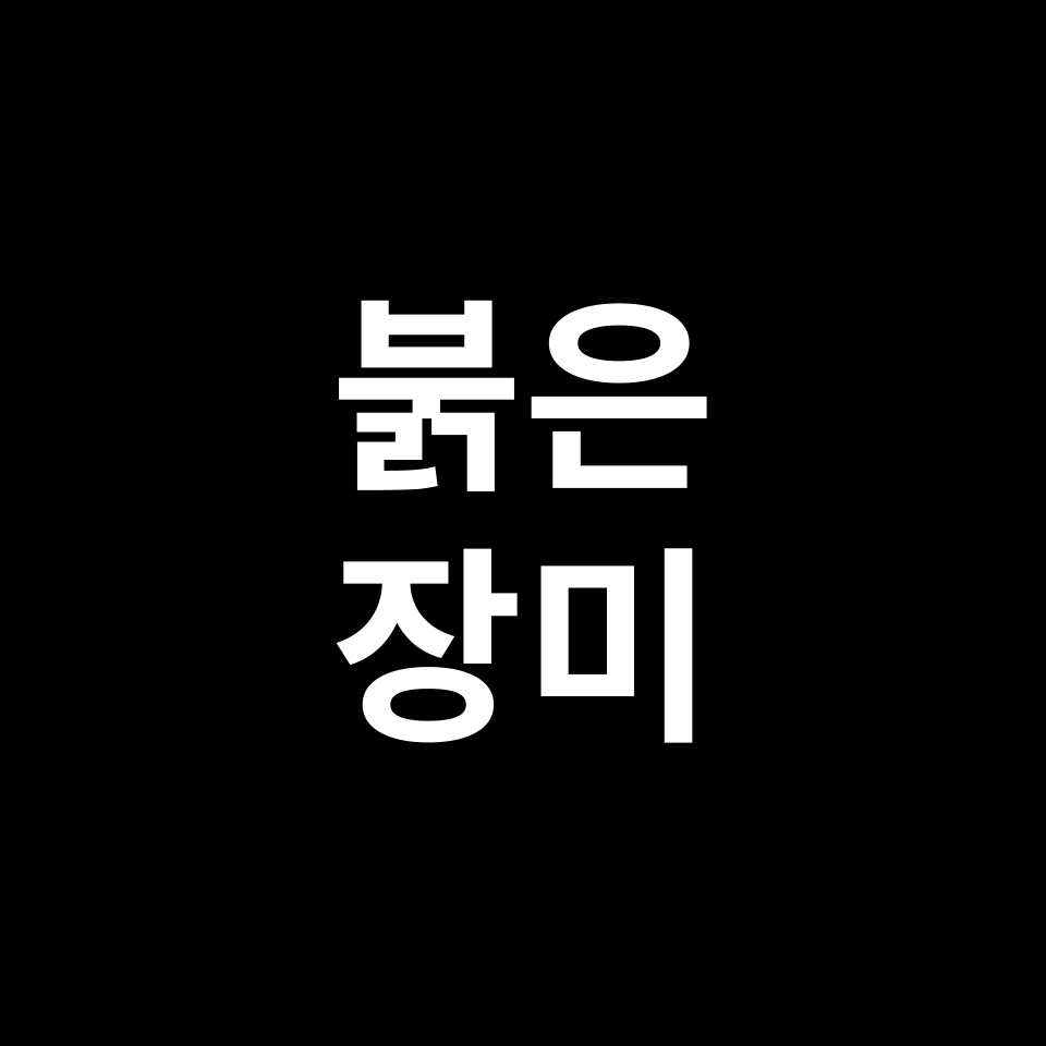 붉은 장미 꽃말 썸네일
